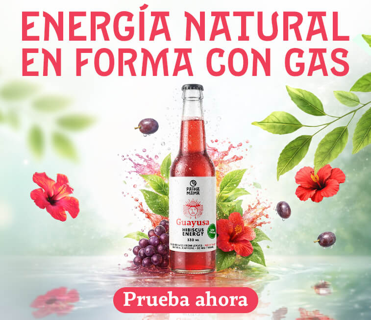 Cold Brew Guayusa