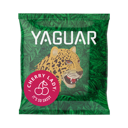 Kit Yerba Mate Yaguar 10x50g Calabaza Bombilla