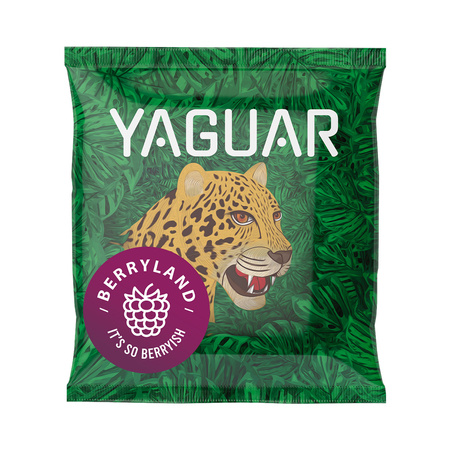 Kit Yerba Mate Yaguar 10x50g Calabaza Bombilla