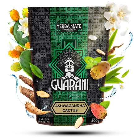 Juego de Yerba Mate Guarani Ashwagandha 500g Calabaza + Bombilla