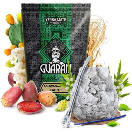 Juego de Yerba Mate Guarani Ashwagandha 500g Calabaza + Bombilla