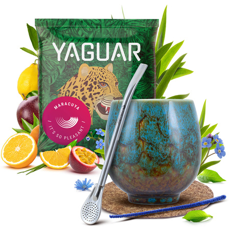 Juego de Yerba Mate 50g Calabaza + Bombilla