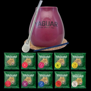 Kit Yerba Mate Yaguar 10x50g Calabaza Bombilla