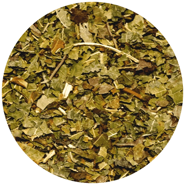 Morera (hoja) 1 kg